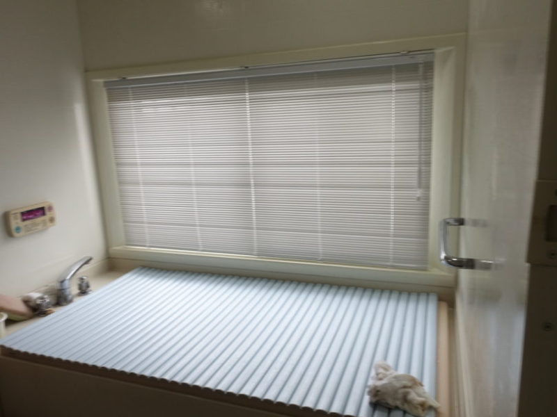 d861909d-8a13-4ff4-bf96-4d29cfe01e1b